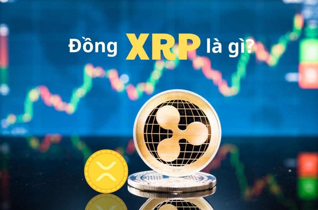 Đồng XRP là gì? Thông tin mới nhất về đồng tiền ảo XRP