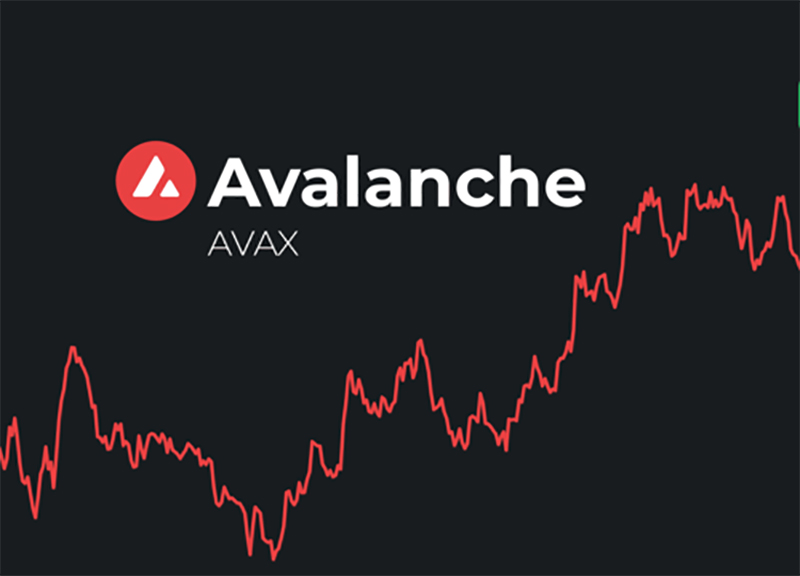 avalanche-avax-coin-3