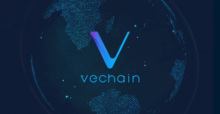 vechain-vet-coin-2